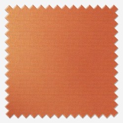 Orange Marmalade | Dimout | Roller Blind