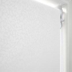 Isla Whisper | Double Roller Blind