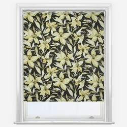 Stargazer Ochre | Blackout | Roller Blind