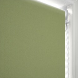 Pop Fern | Double Roller Blind