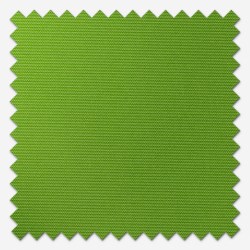 Apple Green | Dimout | Roller Blind